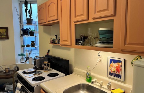 Crown Heights Apartment | LGBTQ+ Haven—Peaceful, Artsy, & Welcoming Space