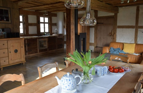 Ickelheim Other | Lichtblick apartment near Bad Windsheim, fireplace, garden, barbecue, panorama screen, massage