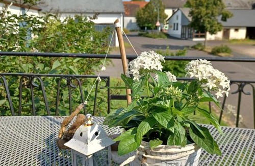 Gipperath Apartment | Lieblingsplatz