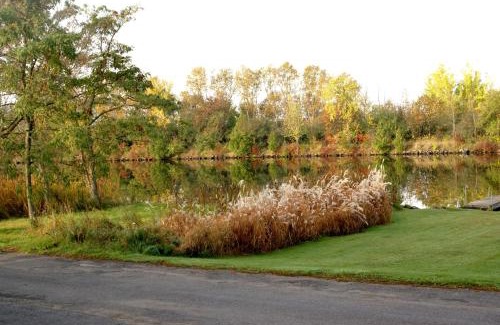 Douro-Dummer Bed & Breakfast | Liftlock Guest House