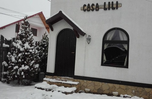 Pucioasa Villa | Lili's House