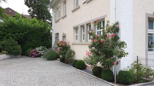 Baden-Baden Apartment | Lilienmatt Apartments
