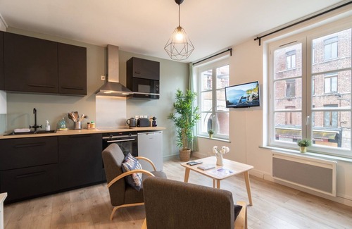 Saint-Maurice Pellevoisin Apartment | Lille Centre - Nice and functional ap.