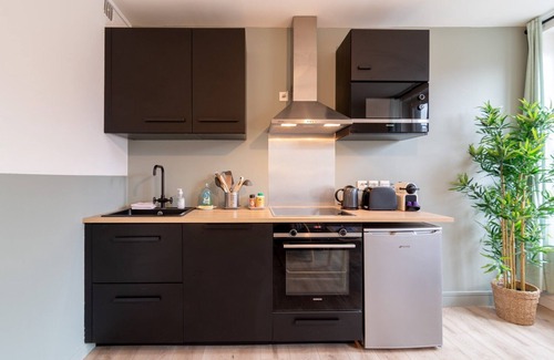 Saint-Maurice Pellevoisin Apartment | Lille Centre - Nice and functional ap.