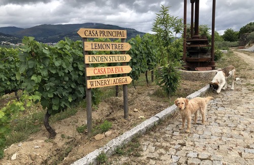 Barro Cottage | Linden Studio at Terrus Winery