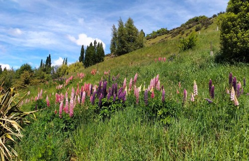 Lower Shotover House | Lindmore Lodge