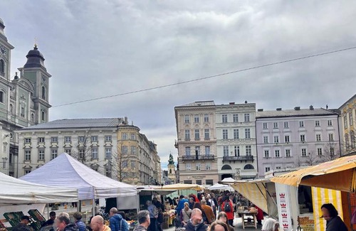 Altstadtviertel Apartment | LINZ CITY CENTER - Historisches Apartment & Refugium