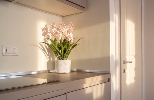Castello Apartment | Lion Palace Suite Terrace R&R