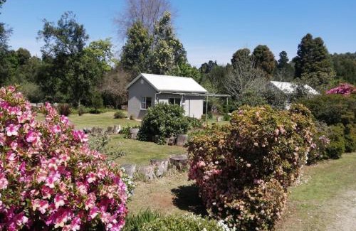 Hogsback House | Liquid Amber