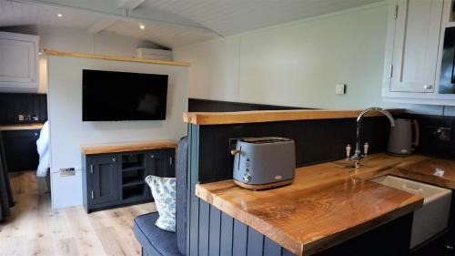 Llanfyllin House | Little Acorn - Luxury shepherd's hut/lodge with private hot tub and garden