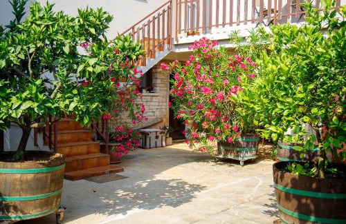 Sveti Petar u Sumi Apartment | Little App - magical surrounding