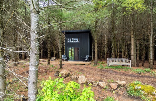 Chatsworth Cabin | Little Cabin in the Pines