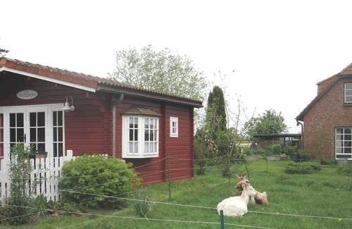 Logeberg House | Little Daisy FH, Mrs Erich - Little Daisy - Holiday House, Mrs Erich