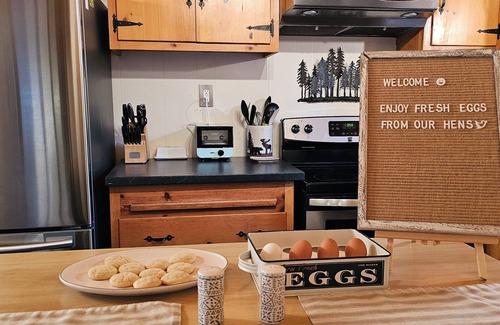 Placerville Cabin | Little Green Cabin by Apple Hill/Sly Park/Wineries/Tahoe/Hiking