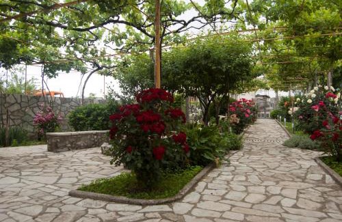Radovici Apartment | Little Nautilus