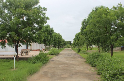 Dasada Resort | Little Rann Resort