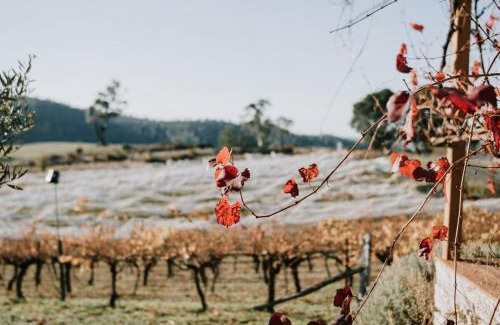 Drummond North House | Little Vineyard Caboose