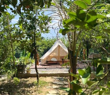 Tan Phu Other | Littlefarm - Nam Cat Tien