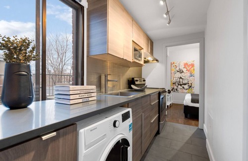 Plateau Mont Royal Apartment | LiV MTL Soho-2 Deluxe 1BR Suite + Big Rooftop