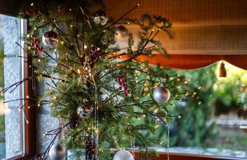 Arachova Ski Chalet | Livadi cozy villa