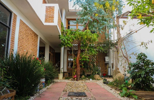 San Cristobal de las Casas Apartment | Live like a local in San Cris! Pets welcome!
