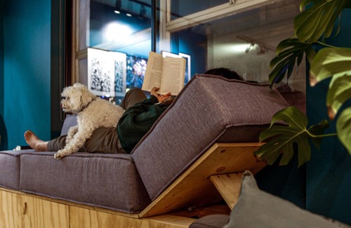 Fitzroy Apartment | Live on the world's most livable street! Walk everywhere, pet welcome.
