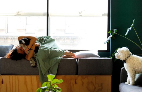 Fitzroy Apartment | Live on the world's most livable street! Walk everywhere, pet welcome.