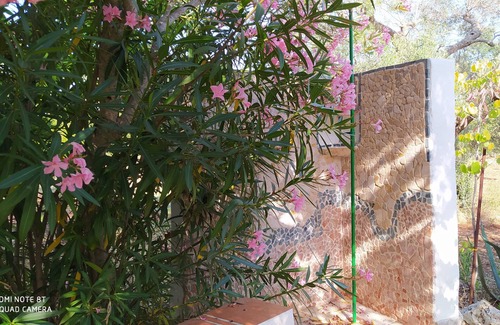 Villa Castelli House | Live Sustainable Apulia CIS): BR07402091000015358