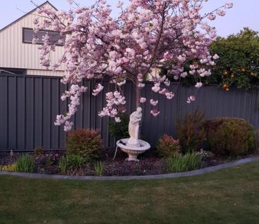 Hastings Bed & Breakfast | Liz on Lowry