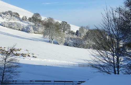 Llanfihangel-nant-Melan Bed & Breakfast | Llew Coch B&B formaly The Red Lion inn