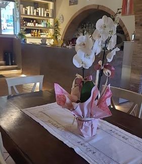 Casale Marittimo Bed & Breakfast | Locanda Le Volte