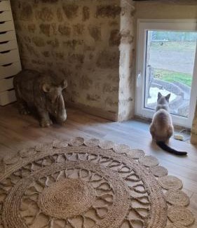 Colomby House | Location Chambre Colomby