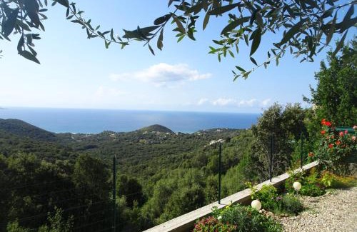 Farinole House | location farinole proche saint-florent