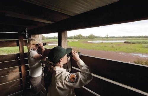 Lochinvar National Park Other | Lochinvar Safari Lodge