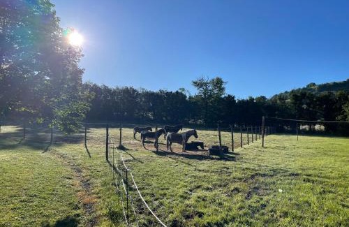 Lavernhe Other | lodge camping le Plo AVEYRON