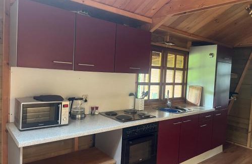 Zevenhuizen Cabin | Lodge De ijsvogel bij Bolmeer Lodges