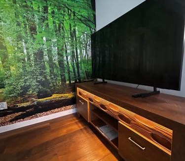 Bielawa Apartment | Loft Apartments Bielawa "Las" Polskie Como Góry Sowie