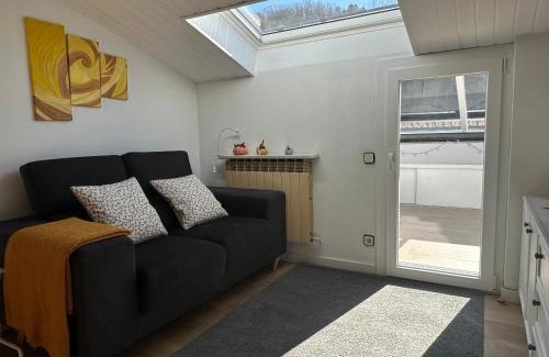 Sant Joan de Les Abadesses Apartment | Loft del Taga