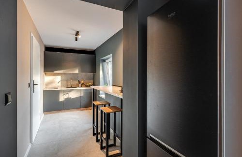 Rybnik Apartment | Loft House Apartment Studio z ogródkiem 3