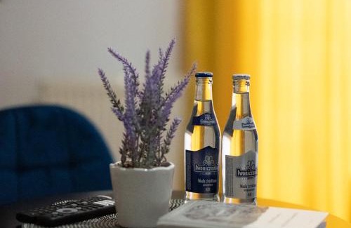 Przemysl Apartment | LOFT HOUSE APARTMENTS