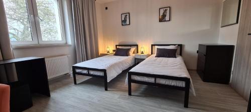 Skhidnytsya House | LOFT HOUSE
