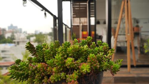 Del Valle Apartment | Loft REMEDIOS - penthouse CDMX - áreas comunes compartidas