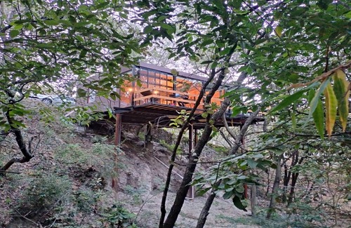 Zapopan Cabin | Loft Tree House 1 by Kivoya
