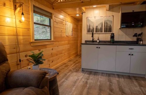 Allegheny Mountains Cabin | LogCabin w/hot tub l borders Mon. National Forest
