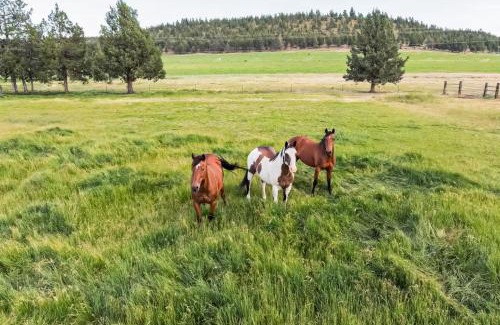 Crooked River Ranch House | Long Hollow Ranch - The Homestead House