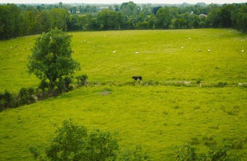 Ennybegs House | Longford Holiday Blue Sky Self Catering Cottage