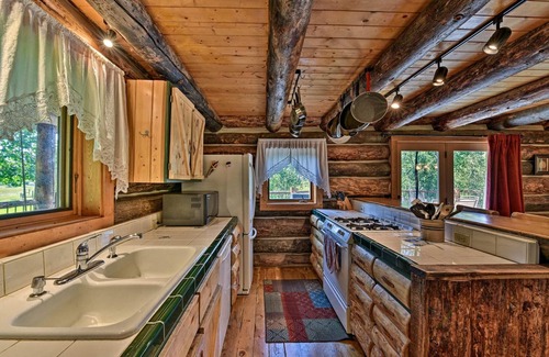 Almont Cabin | Longhorn Ranch Cabin w/Hot Tub, Large Deck and Stunning Views!