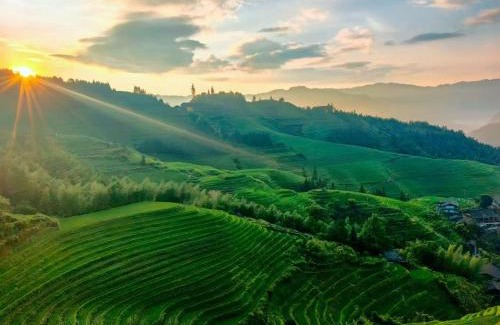 Longsheng Various Nationalities Autonomous County Hotel | Longsheng Longji Rice Terraces Jingyue Hotel 龙胜龙脊梯田境悦酒店