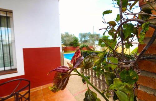 Barrio Nuevo House | Los Candiles