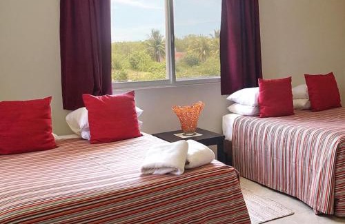Downtown Holbox Apartment | Los Depas del Aeropuerto Holbox